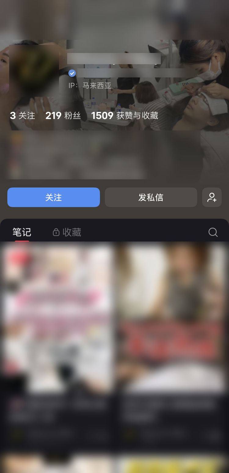 Xiaohongshu (RED) Blue-V verification success case (client info redacted)